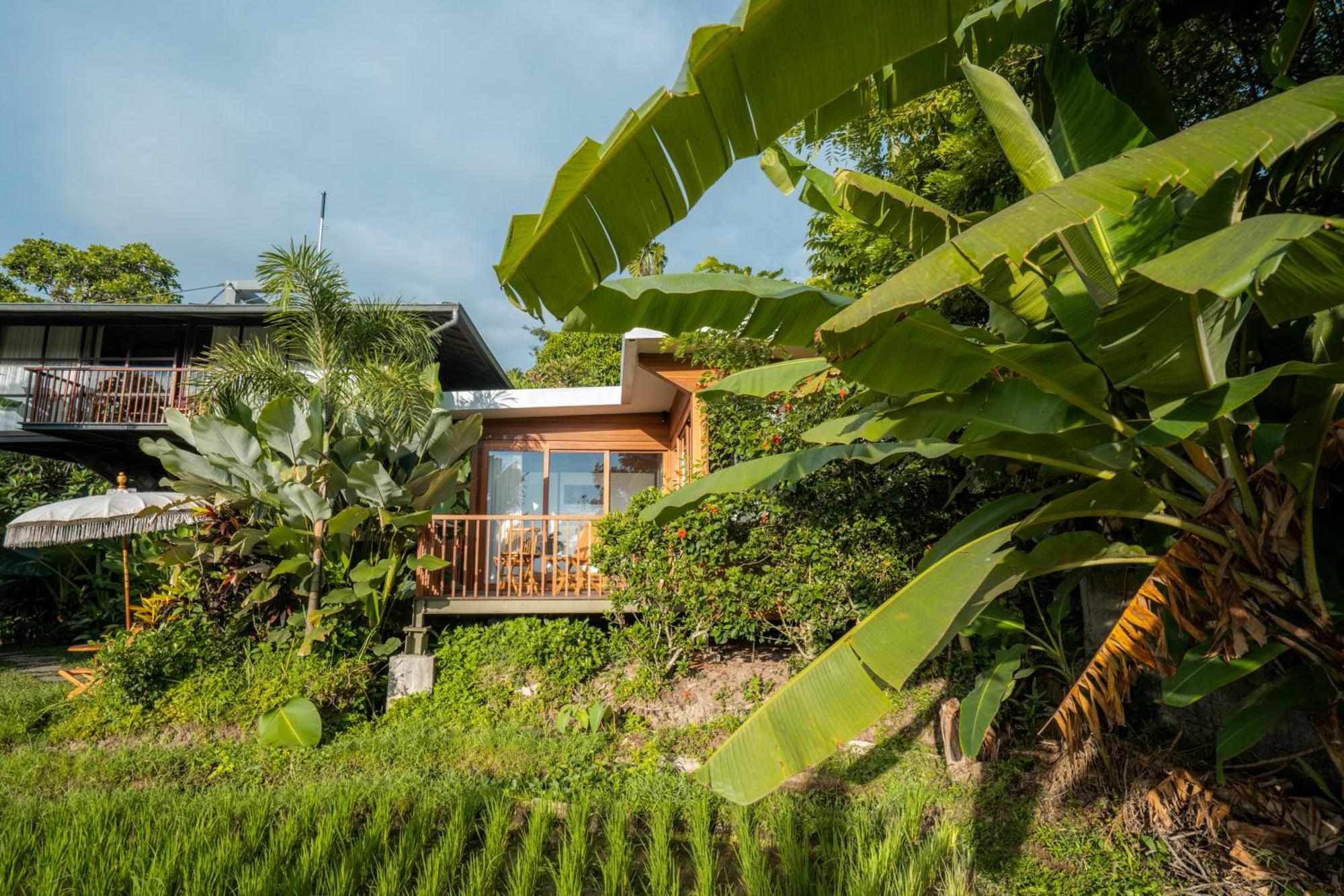 Grün Ubud Exterior foto