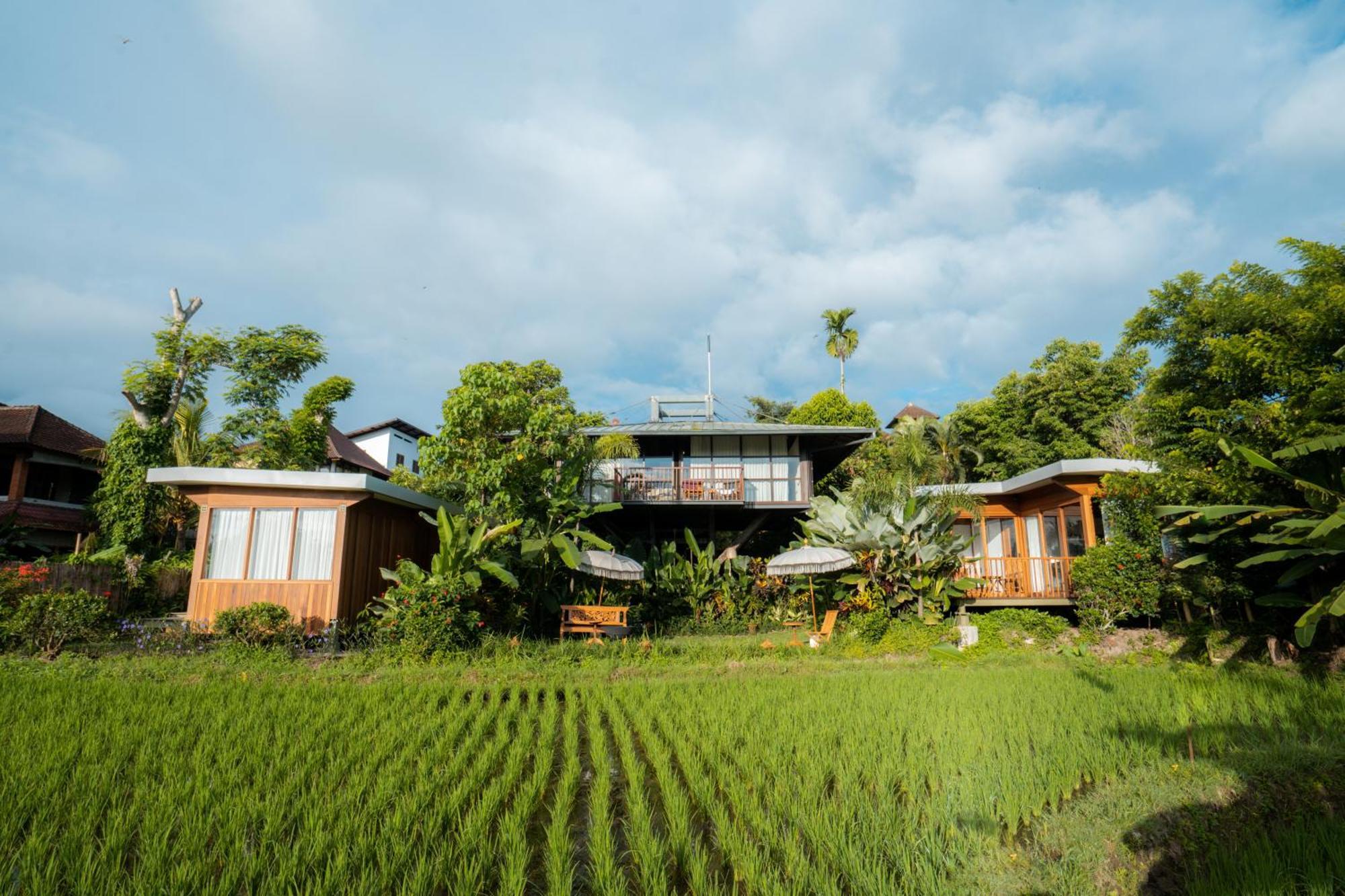 Grün Ubud Exterior foto