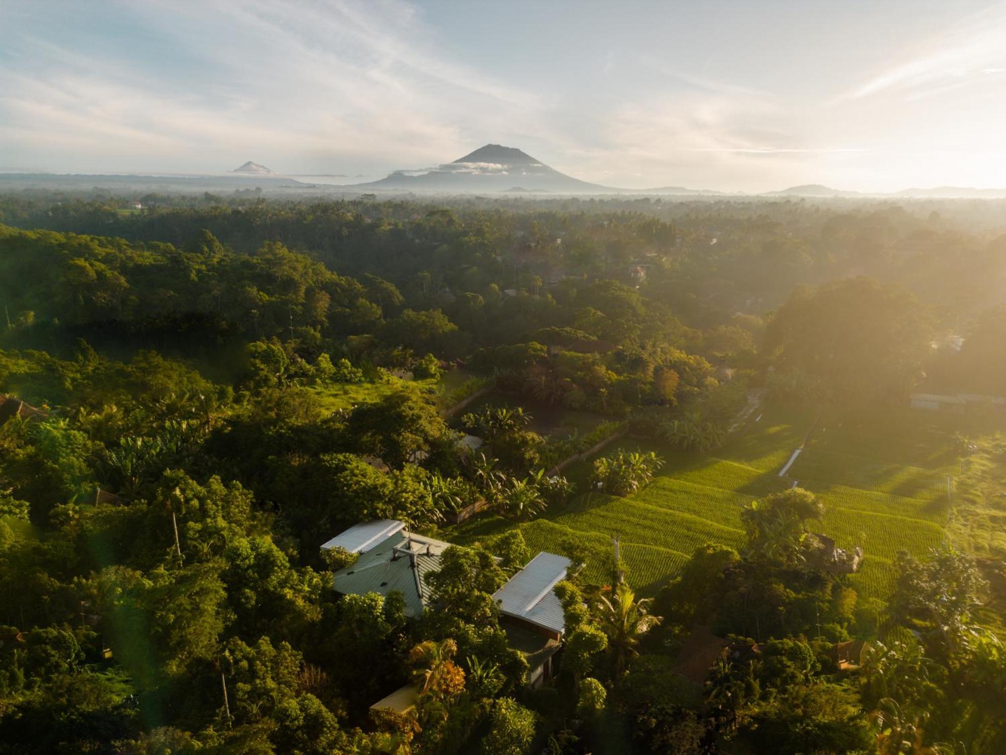 Grün Ubud Exterior foto