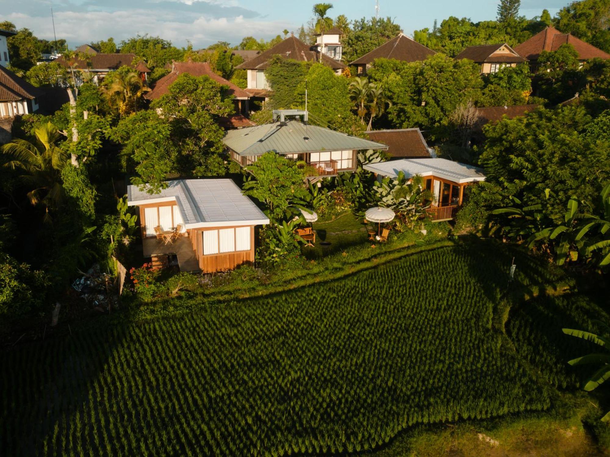 Grün Ubud Exterior foto