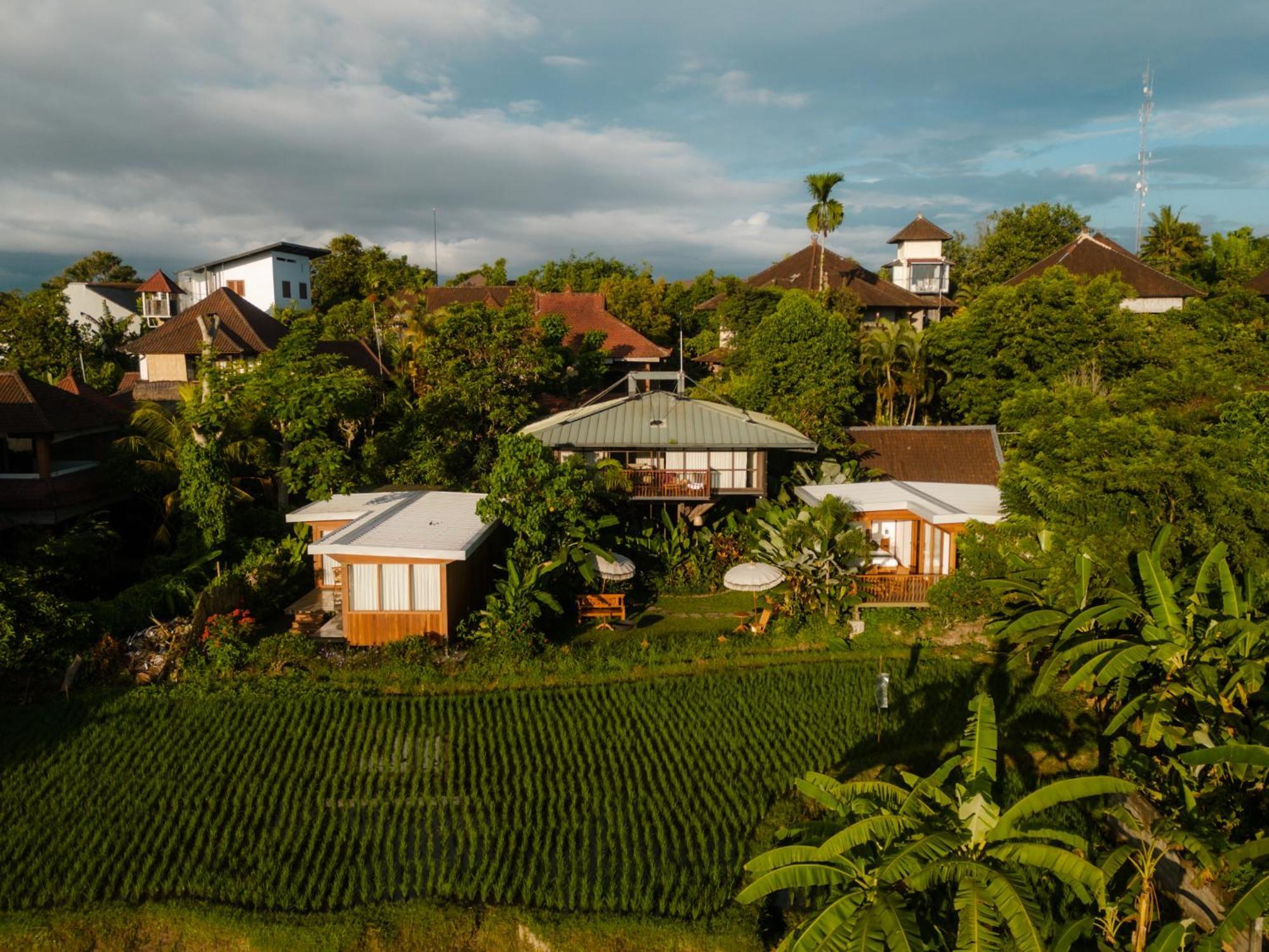 Grün Ubud Exterior foto